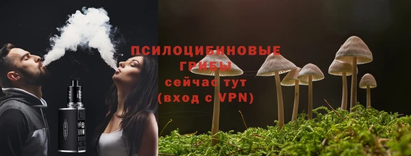 герыч Бородино