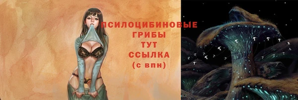 герыч Бородино