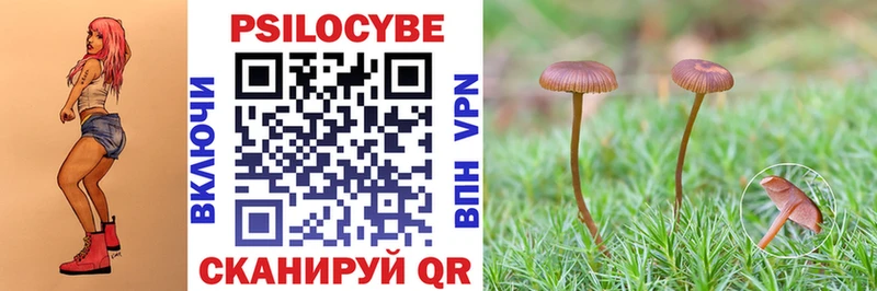 Псилоцибиновые грибы Cubensis Джанкой