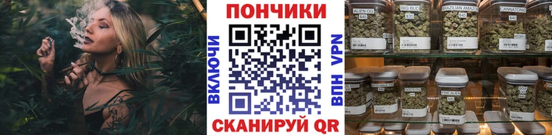 Шишки марихуана конопля  продажа наркотиков  Джанкой 